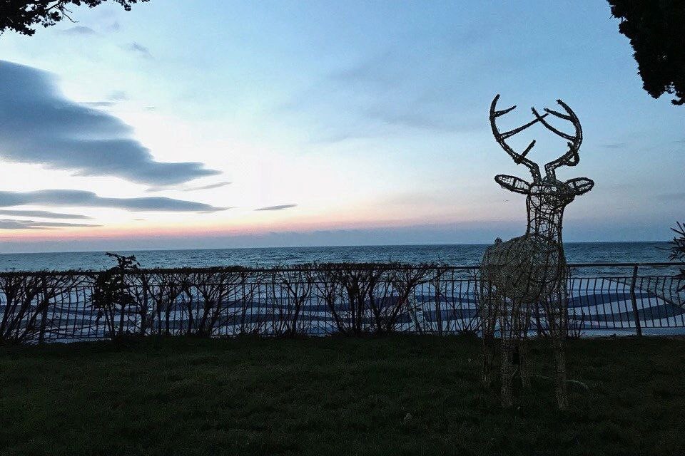 «Артек» и «Орленок» в моем сердце навсегда!