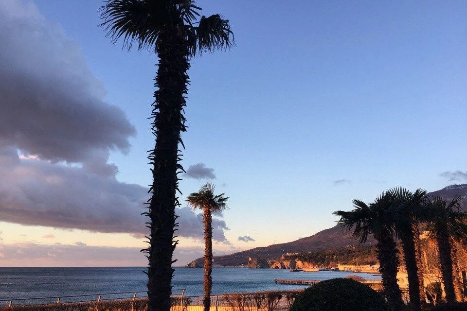 «Артек» и «Орленок» в моем сердце навсегда!