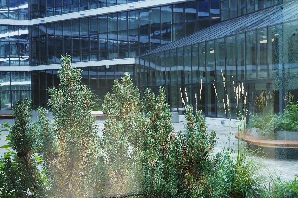 Тюменский государственный университет отмечает 95-летие